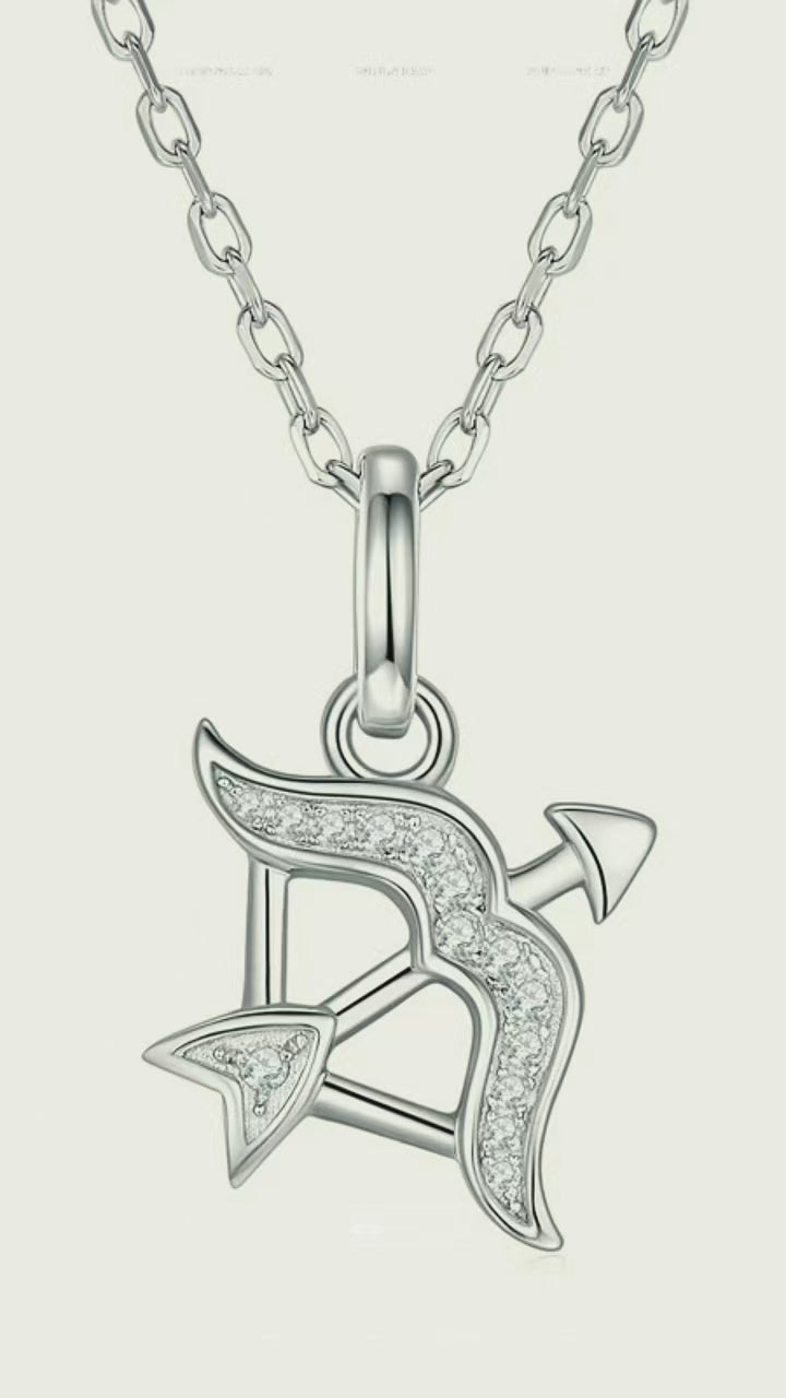 Twelve zodiac signs moissanite necklace